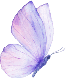 logo papillon